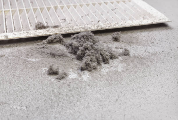 Best Duct Cleaning for Offices  in Lees Summit, MO