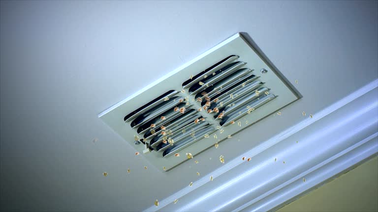 Best Air Duct Cleaning Near Me  in Lees Summit, MO